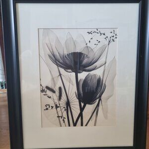 Judith McMillan picture